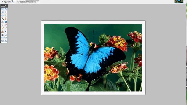 Paint.net видеоурок 5 (второй вид рамки для фото) смотреть онлайн