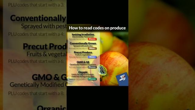 PLU codes secret смотреть онлайн