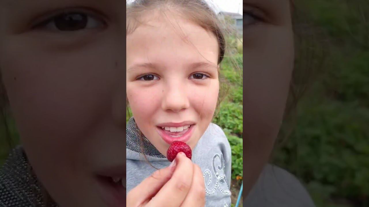 Ягода клубничка#shorts смотреть онлайн