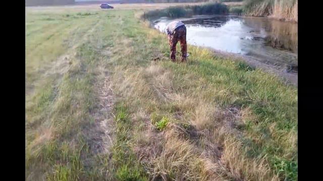 Значки, монеты,вечерний коп . смотреть онлайн