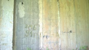 Приключения Сережи и Полины на даче (Часть 2)