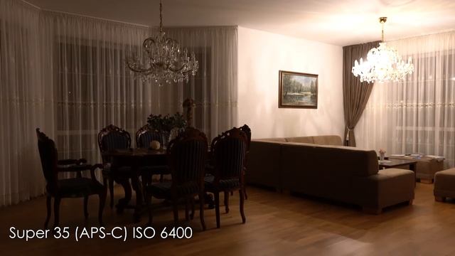 Sony A7III + Sigma 18-35mm F1.8 Tested in Super 35 and Full Frame mode смотреть онлайн