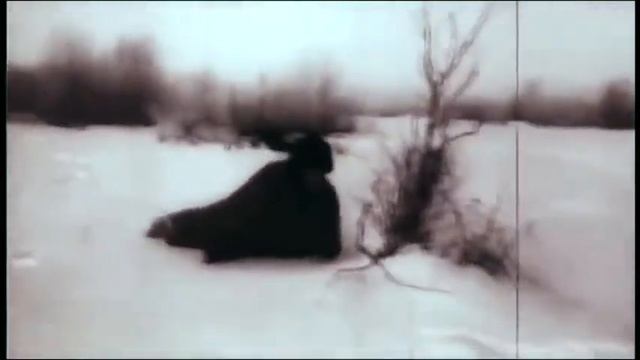 Эстафета Памяти. А.О. Губская. "Нам нужна одна Победа" смотреть онлайн