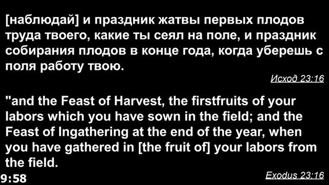 Церковь 'Ковчег Спасения' Ark of Salvation Church Live Stream 11-06-2022 смотреть онлайн