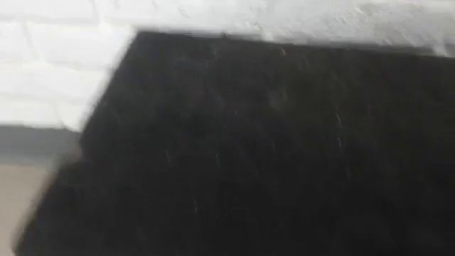 Видео №569988 смотреть онлайн