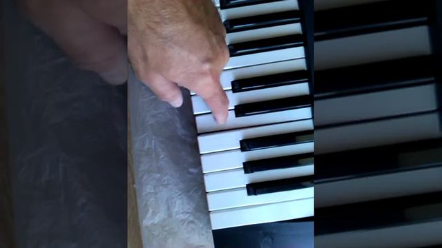 Casio Ctk 80