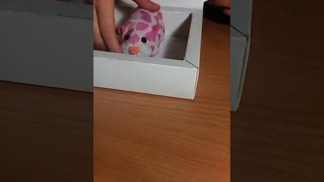 ТОП 6 СПОСОБОВ ДЛЯ ИСПОЛЬЗОВАНИЯ КАРАБКИ ИЗ ПОД Raffaello! смотреть онлайн