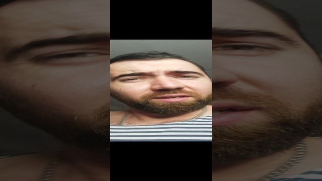 Кошечка беременная