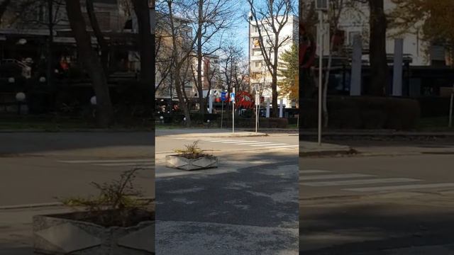 Солнечный декабрьский денек, трава зеленая, мухи на деревьях)). Купила плиту. Море!!! смотреть онлайн