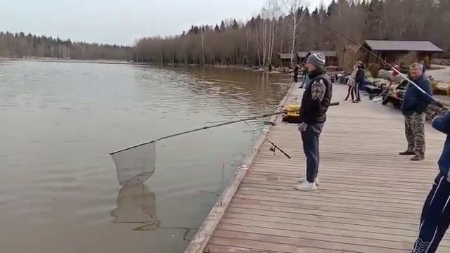 форель смотреть онлайн