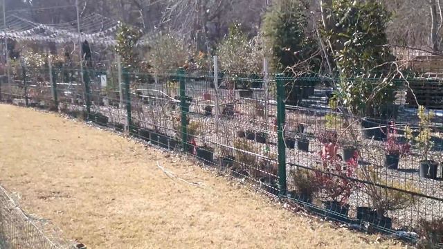 Влог Дети увидели Огромные Губы у Озера смотреть онлайн