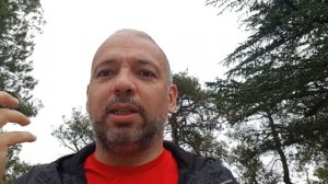 Планар ошибка 13. Понятное объяснение простыми словами. Планар 44д не запускается.