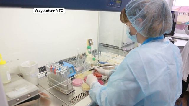 Икру проверили на токсичность, тяжелые металлы и не только смотреть онлайн