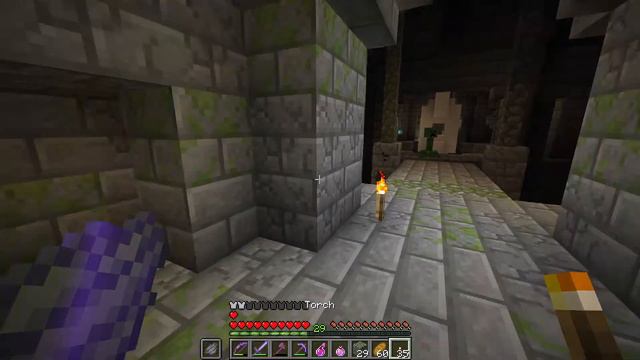 Jim in Divinity's End Minecraft E11 - It HAD To Happen! смотреть онлайн