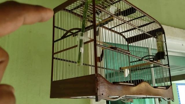 Manejo em reta final com AMINOSOL смотреть онлайн
