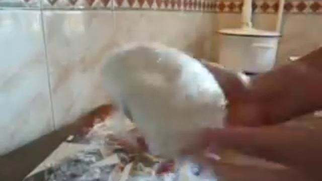 Кулинарные Приключения по Всему Миру