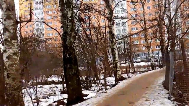 Москва 2071 Синявинская улица, микрорайон Синявинская 11 зима день