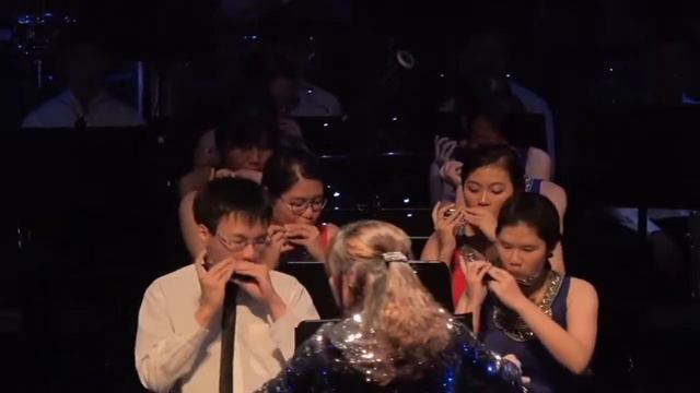 NUSHO Soirée 2017 - Hedwig's Theme смотреть онлайн