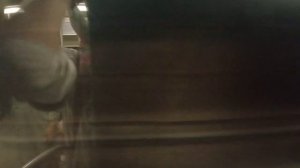 Серпуховско-Тимирязевская линия. Поездка на поезде Ока от Алтуфьево до Бульвара Дмитрия Донского