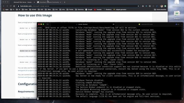 SQL Server e Docker смотреть онлайн