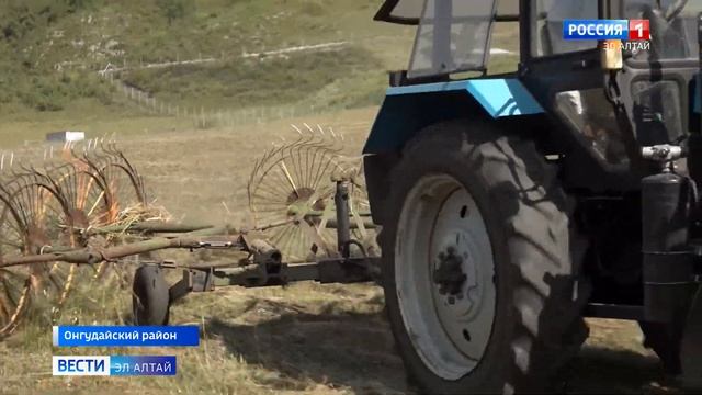 В животноводческих хозяйствах Республики Алтай продолжается кампания по заготовке кормов смотреть онлайн
