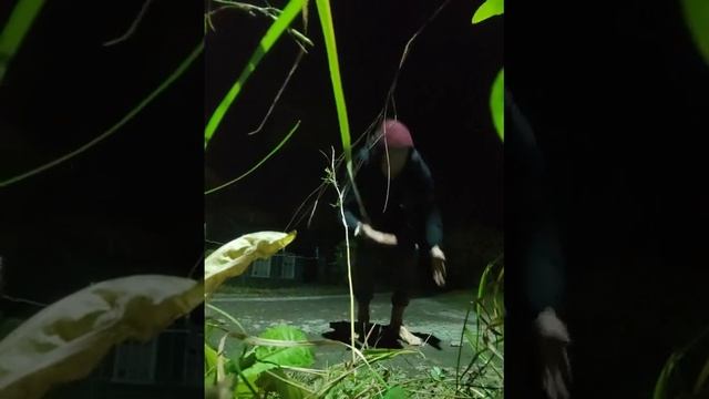 44 отжимания в 5-44 утра и мысли про кармические циклы, год назад что было и повторение день в день смотреть онлайн