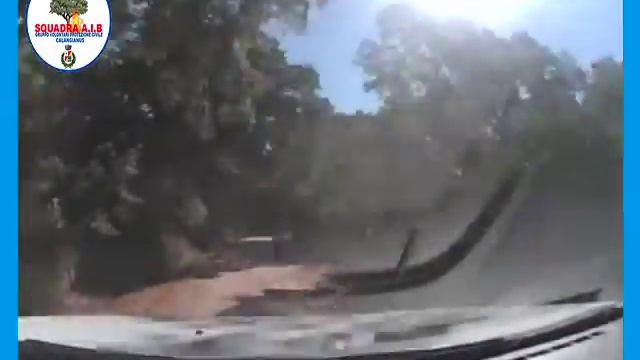 1,5 km dell'Ex Ferrovia di Calangianus "Tracchetta" смотреть онлайн