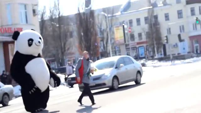 Inflatable mascot Panda by SHOWplus Надувной пневмо костюм (пневморобот) Панда смотреть онлайн