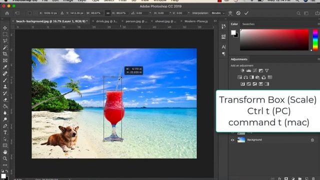 Creating Collages in Photoshop CC Using the Pen Tool and Magic Wand смотреть онлайн