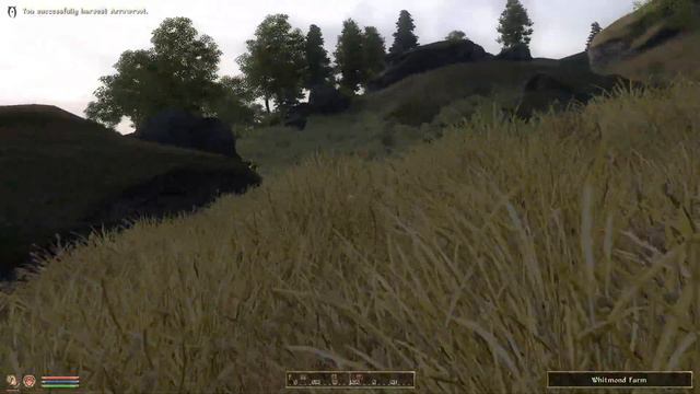 Oblivion Let's Play EP15 - Running through with Maglir смотреть онлайн