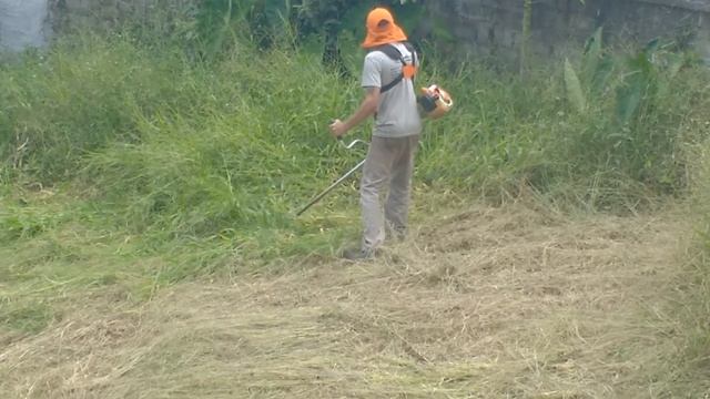 Testando a Roçadeira FS 250 Stihl- máquina potente e leve e com um consumo baixo... смотреть онлайн