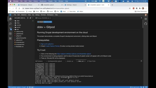 ddev-gitpod demo! смотреть онлайн