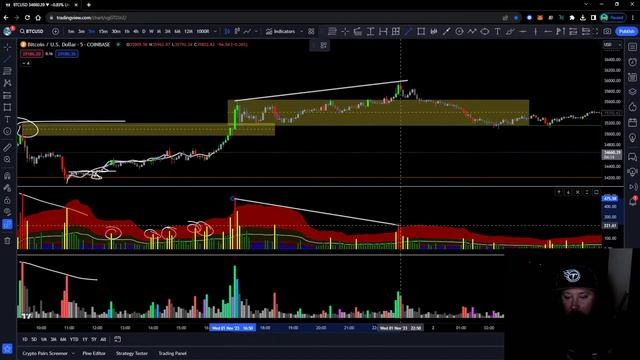 Moonlit Markets: Don't Get TRAPPED смотреть онлайн