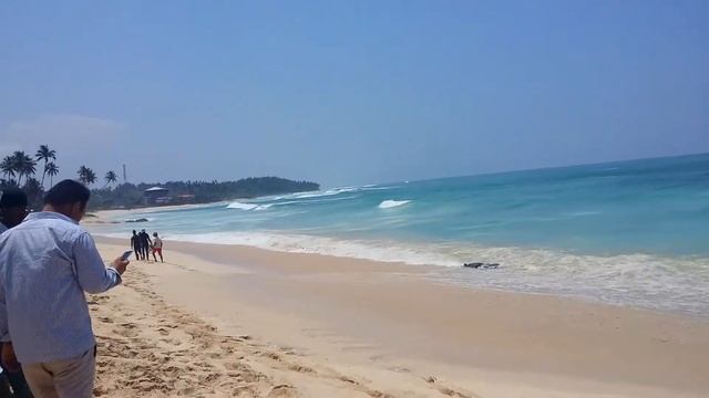 "Thalmaha. Weligama beach. Sri lanka смотреть онлайн
