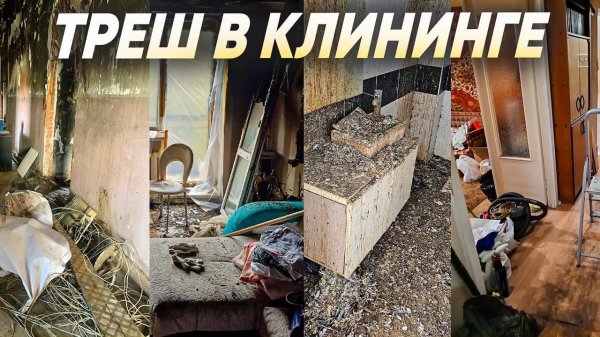 ЖЕСТЬ В КЛИНИНГЕ. Уборка сложных случаев. Компания Эксперт клининг. Клининговый бизнес.