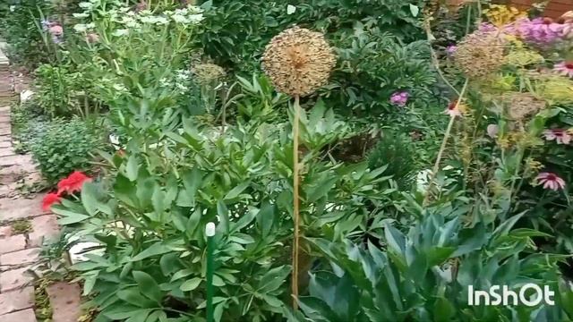 Поездка в поселок Тульский (около Майкопа)/Сад Елены/Выбрали подарок/Часть 1-я смотреть онлайн