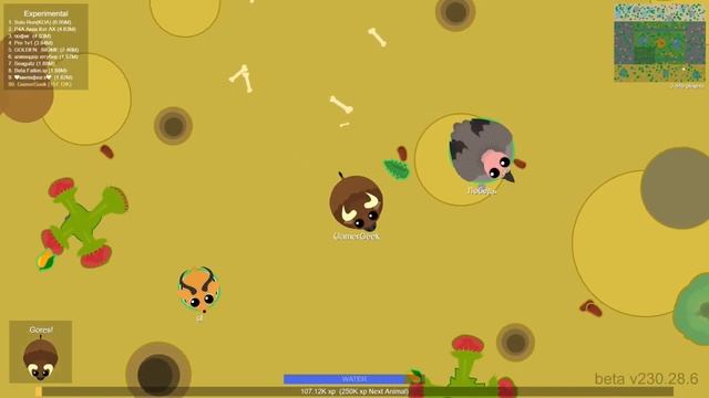 Mope.io Best Way To Get To Dragon!! Best Animals And Foods To Choose смотреть онлайн