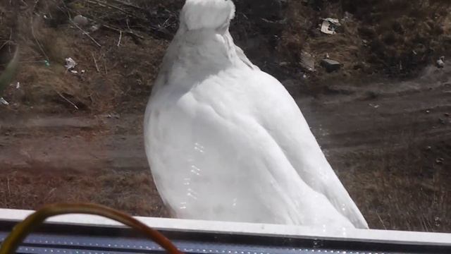 00137 смотреть онлайн