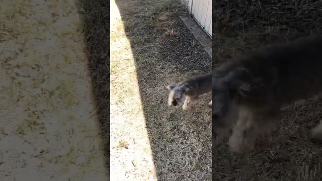 Fritz & 7 first Meet смотреть онлайн