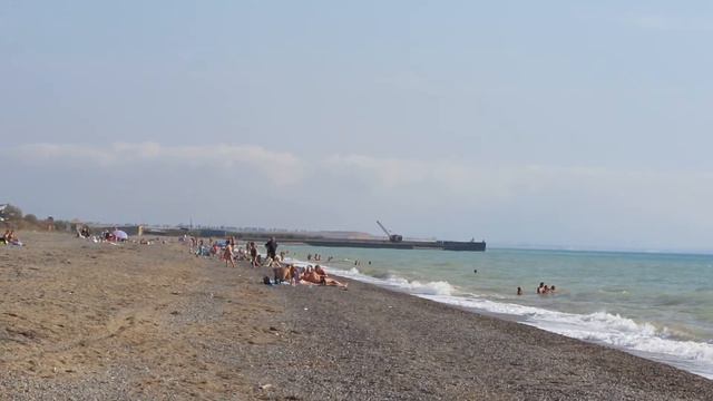 Животные и птицы в пгт. Новофедоровка, Крым. Часть 2. Архивная съемка смотреть онлайн