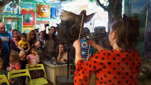 Выступление маленьких зверей и птиц, Динозаврия, 01 апреля 2017
