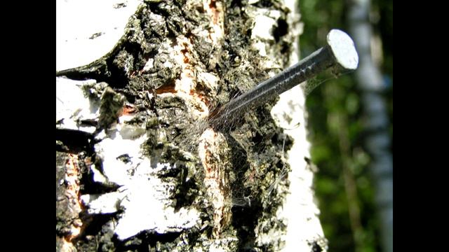 Притча о Гневе смотреть онлайн
