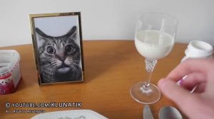 EATING ANIMAL FOOD!! |#29 KLUNATIK COMPILATION    ASMR eating sounds no talk