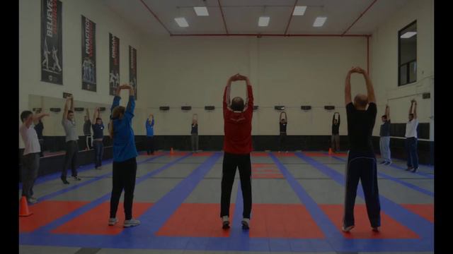 Leadership Development Using Fencing Techniques of Fast Deci смотреть онлайн