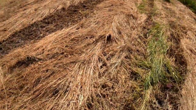 СУПЕР МЕСТО ДЛЯ ФОТОССЕСИИ. Фото для instagram. Тренды instagram. КУДА ЛЕТЕТЬ ОТДЫХАТЬ? смотреть онлайн