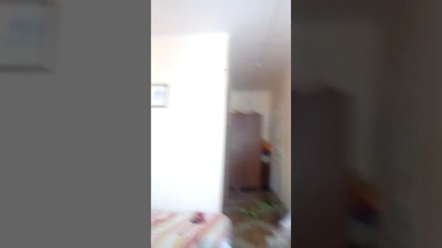 Самая большая муха в Анапе. (моё мнение) смотреть онлайн