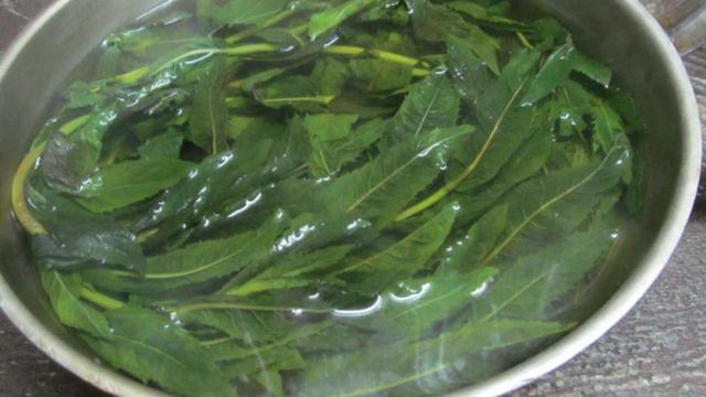 1000 и 1 рецепт