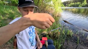 Самый вкусный размер карася