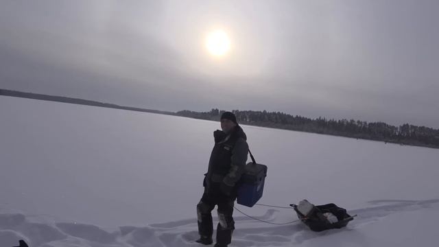 Рыбалка2023. Окунь на безмотылку в тайге. смотреть онлайн