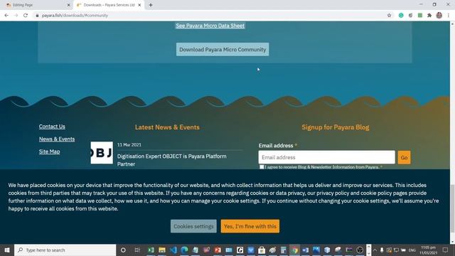 Downloading Payara Micro Server смотреть онлайн